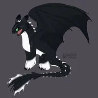 HTTYD x BNHA