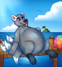 The pooltoy stomach