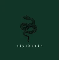 Slytherin Boys 