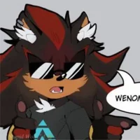 Shadow The Hedgehog