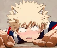 Cat-suki Bakugo