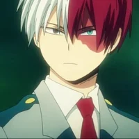 Shoto Todoroki