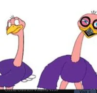 Ozzie ostrich 