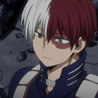 Shoto Todoroki