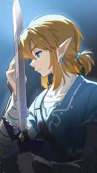 Link BOTW