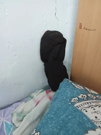 Антон Романович