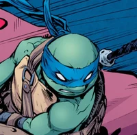 IDW Leonardo 