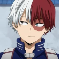 Shoto todoroki 