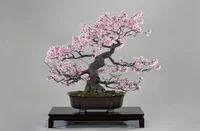 Bonsai