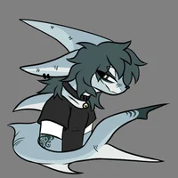 Haruto Bully Shark
