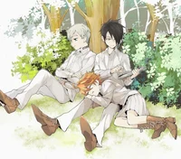 Tpn Trio - Updated