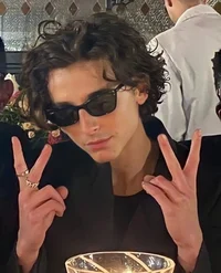 Timothée Chalamet 