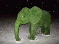 СЛОН ИЗ МХА