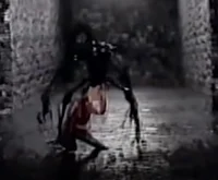 The stalker