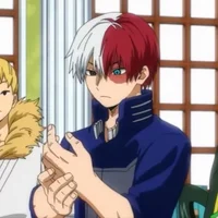 shoto todoroki 