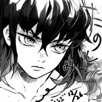 Inosuke Hashibira BR