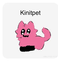 Kinitpet and kintio