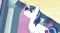 -shining armor MLW-