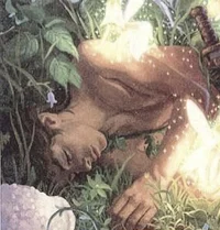 DISNEY Peter Pan