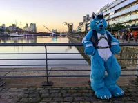 Starfly wolf Fursuit