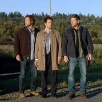 Team free will