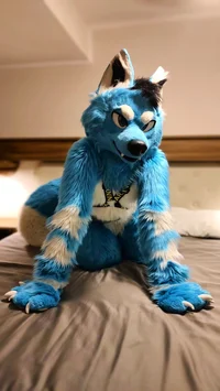 Starfly wolf Fursuit