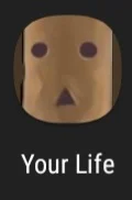 your life 