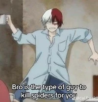 Shoto Todoroki