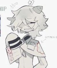 Chip - FPE