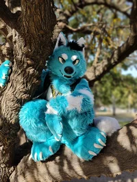 Starfly Wolf Fursuit