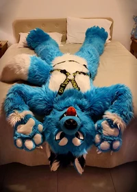 Starfly wolf Fursuit