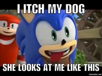 Sonic The Hunter
