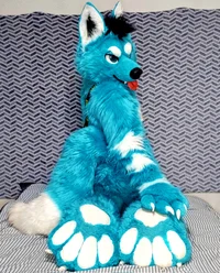 Starfly Wolf Fursuit