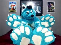Starfly wolf Fursuit