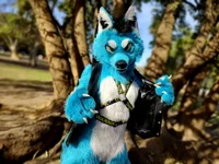 Starfly Wolf Fursuit