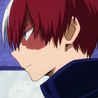 Shoto Todoroki