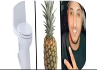 toilet ananas nasdas