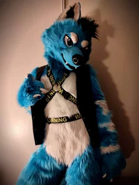 Starfly Wolf Fursuit