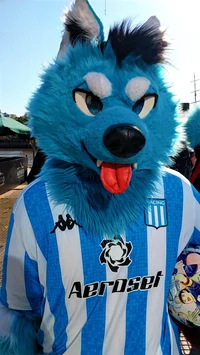 Starfly Wolf Fursuit