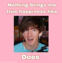 Flamingo and friends