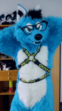 Starfly Wolf Fursuit