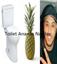 Toilet Ananas Nasdas