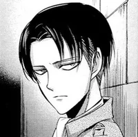 Levi Ackerman 