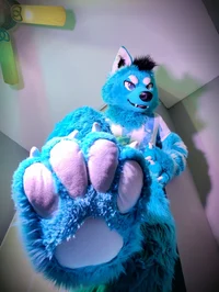 Starfly Wolf Fursuit