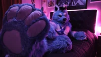 Starfly Wolf Fursuit
