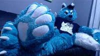 Starfly Wolf Fursuit