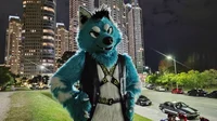 Starfly Wolf Fursuit