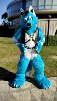 Starfly Wolf Fursuit