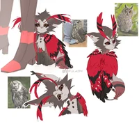 Kitten husk 