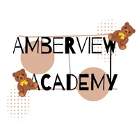 AmberView Academy